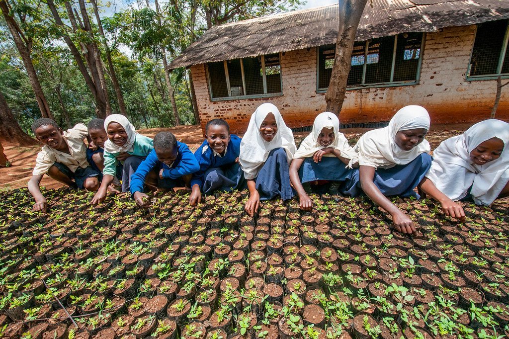 Girls plant seeds in Lushoto, Tanzania.
